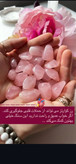 تامبل رزکوارتز